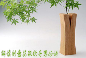 解读创意花瓶的奇思妙语