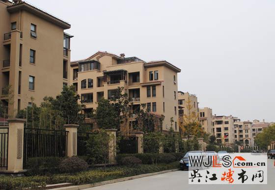 小乔探盘记——新湖明珠城