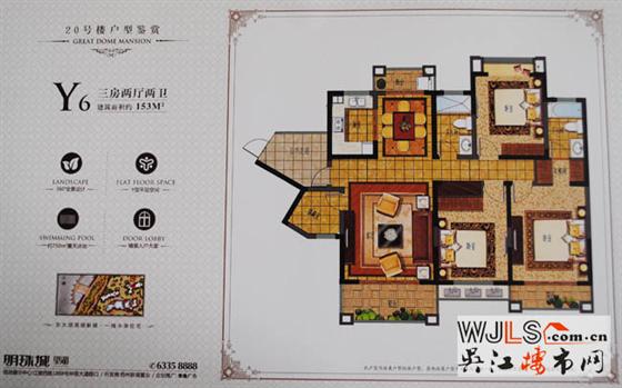 小乔探盘记——新湖明珠城
