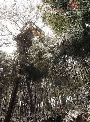 老农15米高树上建木屋 网友担心被强拆(组图) 