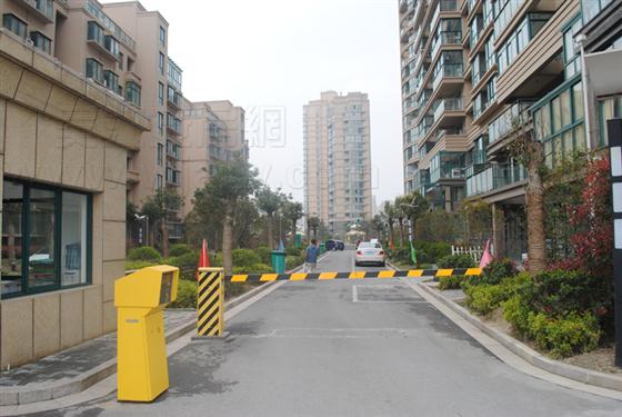琳达探盘记——金领国际