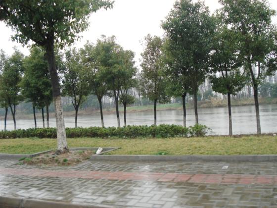 琳达看房记——鼎基.丽湾域