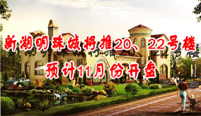 新湖明珠城将推20，22号楼，预计11月份开盘