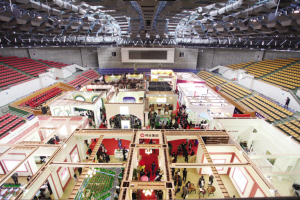 没有最精彩只有更精彩 住博会现场直击