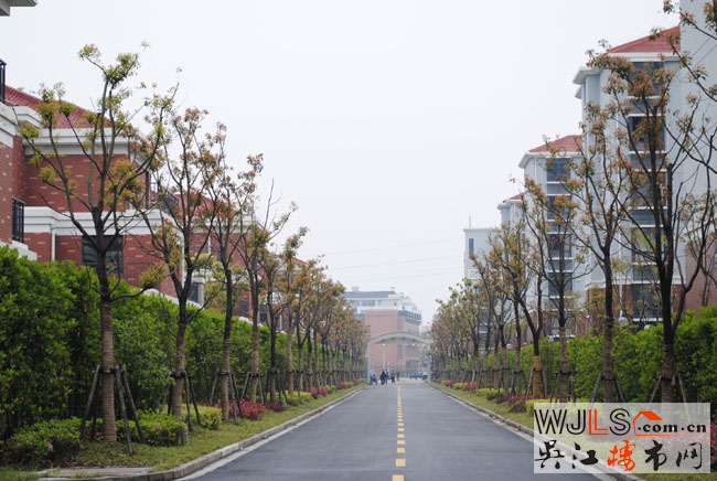 点击图片放大 实景6