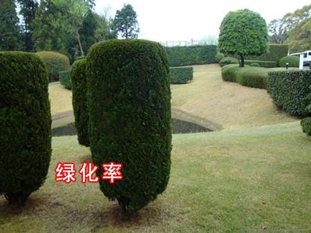 购房指南:买房前先关注五率 得房率需首先考虑