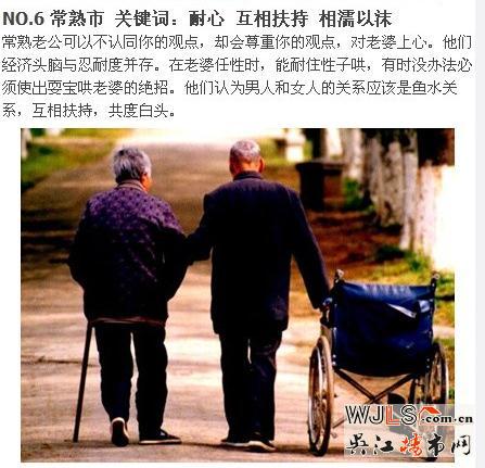 圣诞来袭，新港天城来一套