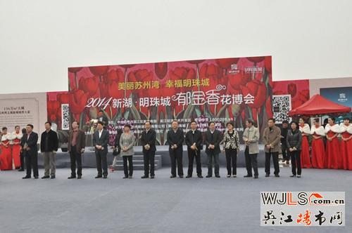 郁金香托起新湖明珠城的“花梦”