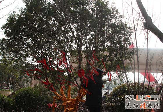 吴江全城瞩目 南悦豪庭1月18日景观示范区盛大公开