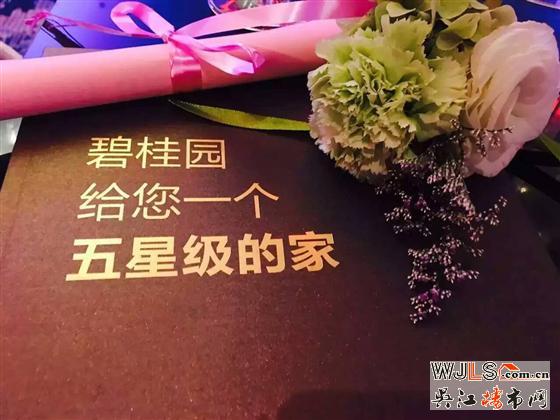 碧桂园进驻盛泽CBD核心区