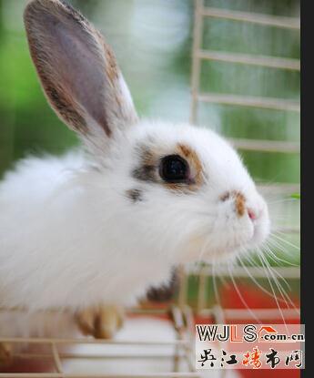 趣玩春天  欢聚在朗诗