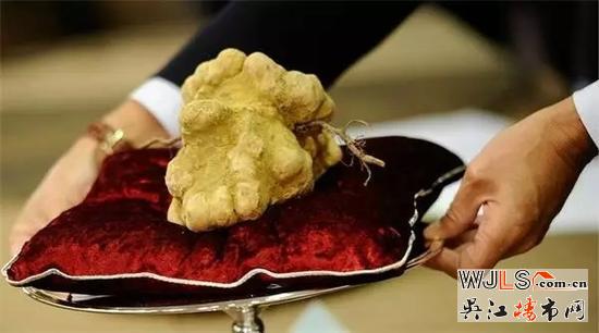 有钱任性,围观富豪们的各种烧钱手段