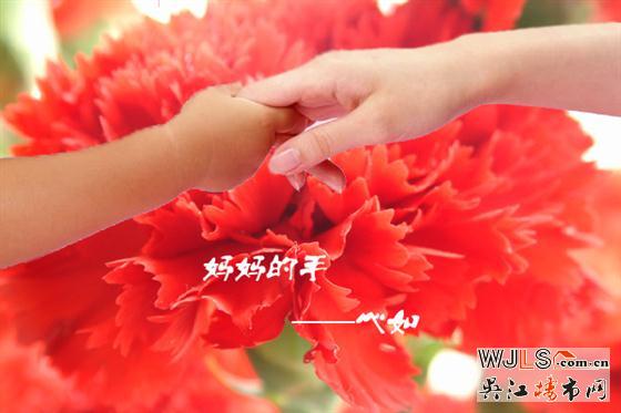 吴江伟业迎春城呵护母亲的养育之手
