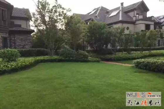雨后，金科廊桥水岸成吴江一道美丽风景线