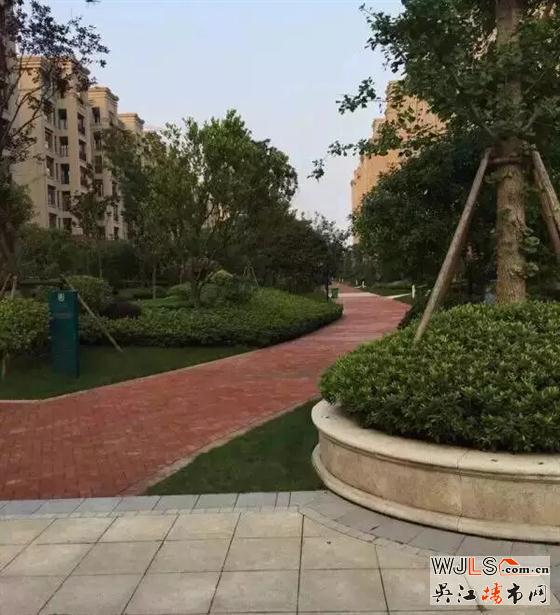 雨后，金科廊桥水岸成吴江一道美丽风景线