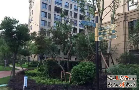 雨后，金科廊桥水岸成吴江一道美丽风景线