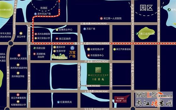 雍雅风华 绚丽盛放