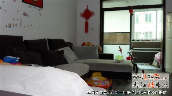 爱德双语小学学区