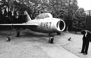 买别墅送战斗机 看地产商的雷人广告促销(图)