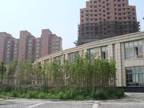 文文看房记——东方海悦花园