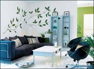 五彩缤纷的花的绽放