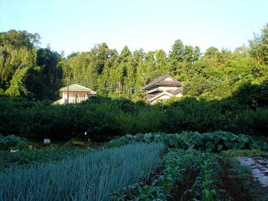 绝对真实！看看日本的“社会底层”农村住房