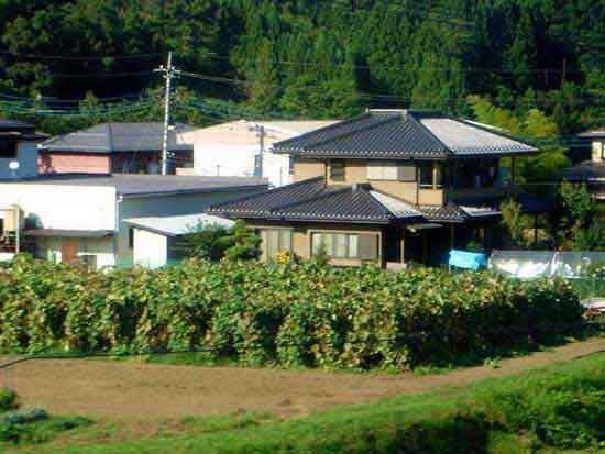 绝对真实！看看日本的“社会底层”农村住房