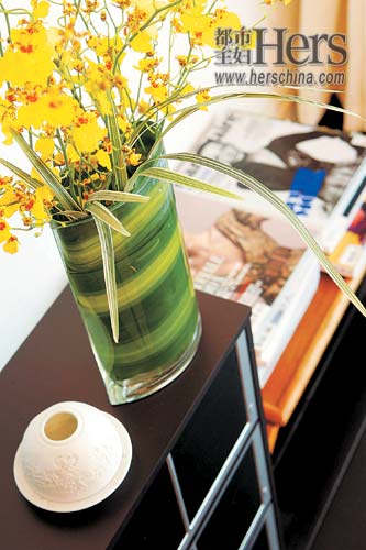 四房一厅完美家 奇思妙想镜中花