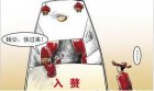 无钱买房备感无奈 上门女婿自称“入赘一族”