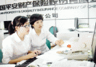 平安产险：严抓行风 提升服务果满枝